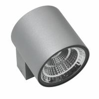 Lightstar Paro 360692 Светильник LED 10W 800LM 28G серый 3000K IP65 (в комплекте)