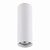 Lightstar Rullo Белый Светильник HP16 (в комплекте)