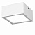 Lightstar Zolla White Белый/Белый/Белый Потолочный светодиодный светильник LED 1х10W IP44